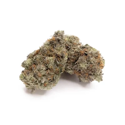 Alternative view of Blueberry Skunk - AA