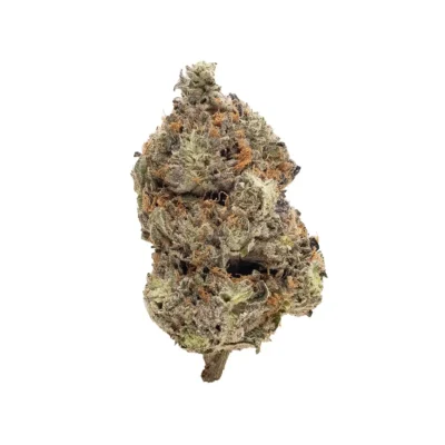 Blueberry Skunk AA indica cannabis buds