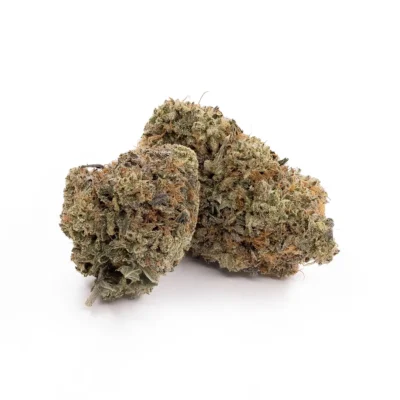 Alternative view of Blue Magoo - AAA