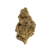 Trainwreck AA sativa cannabis buds