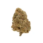 Girl Scout Cookies - AA Image