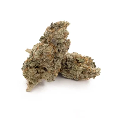 Alternative view of Gastro Pop - AA