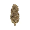 Gastro Pop AA exotic cannabis buds
