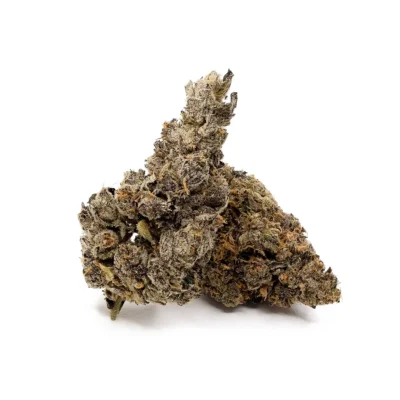 Alternative view of Purple Haze - AA