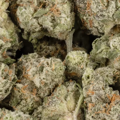Alternative view of Strawberry Cough - AA